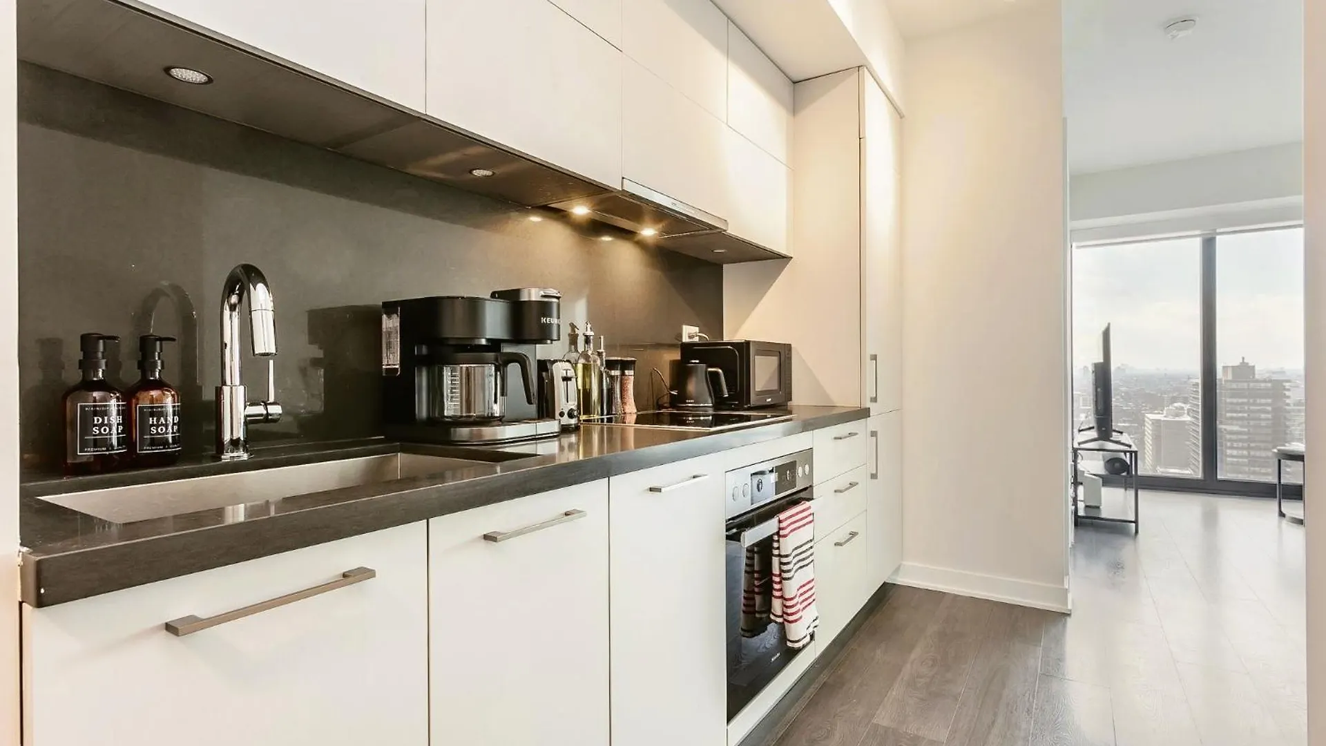 Traveller Home In Centre Toronto